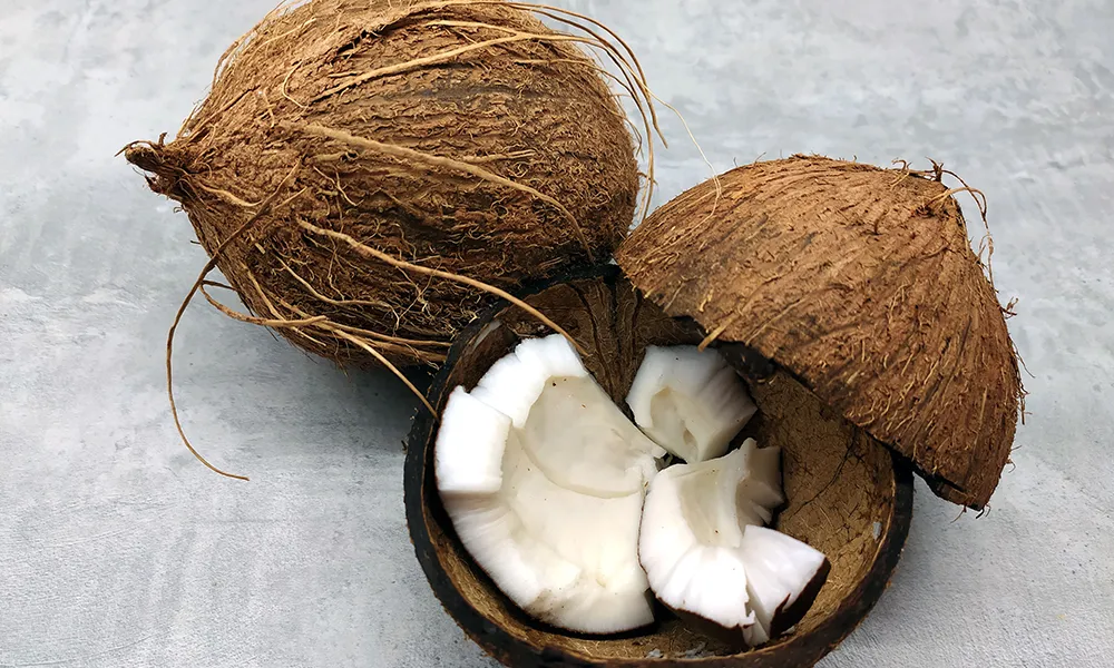 7 Benefits of Sourcing Coconut Cream from Indonesia